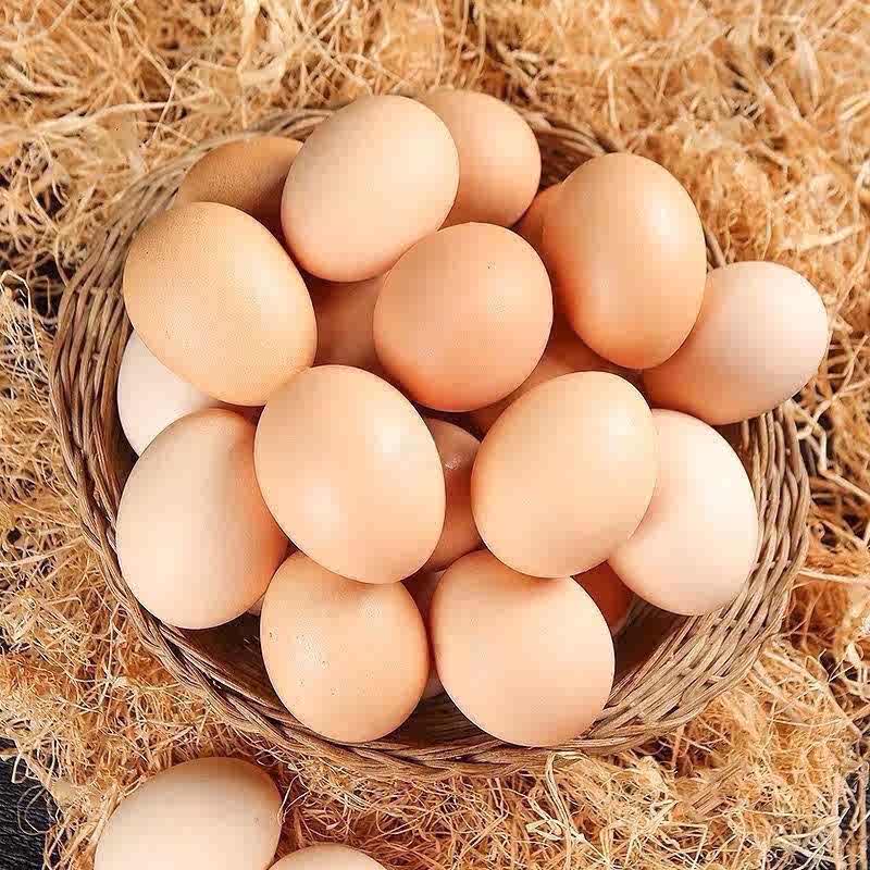 鲜鸡蛋